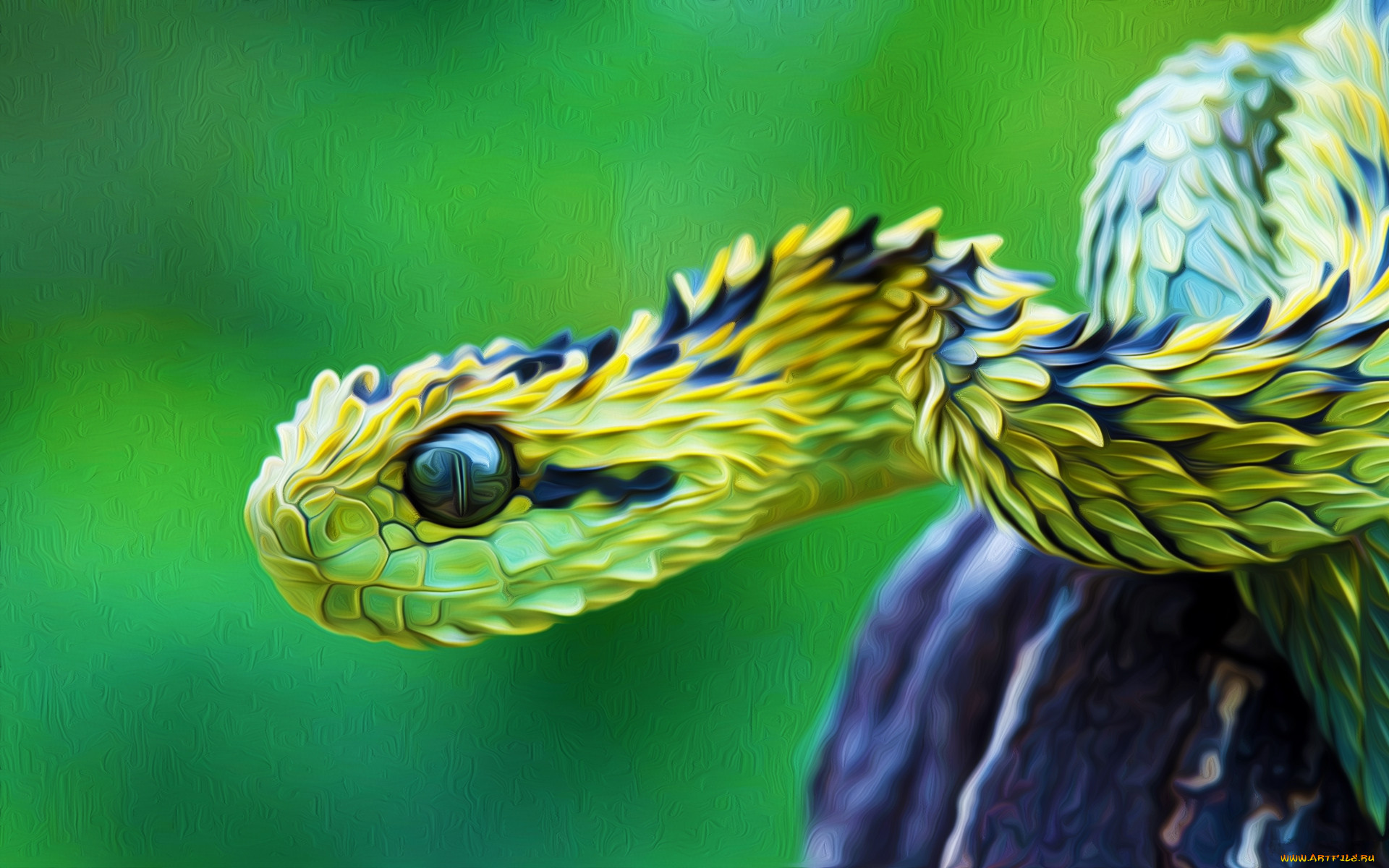 , , , 
